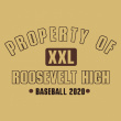 Baseball Property of Shirt